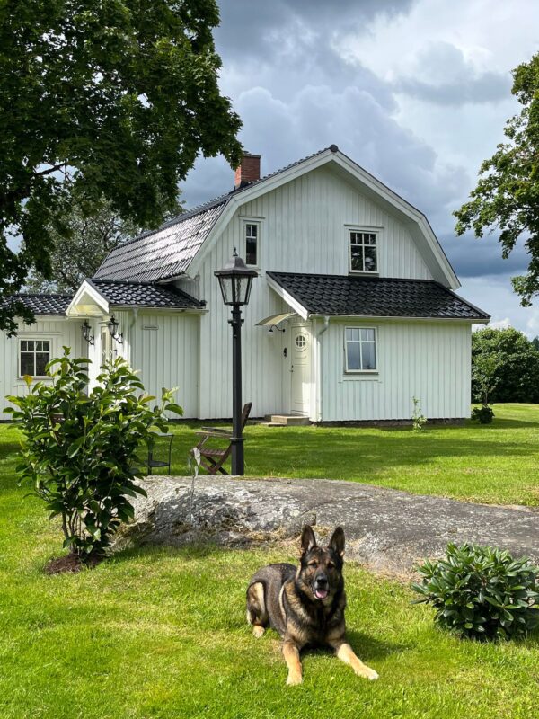 Välkommen till Grästorps Hundcenter – Ditt hundpensionat nära Lidköping