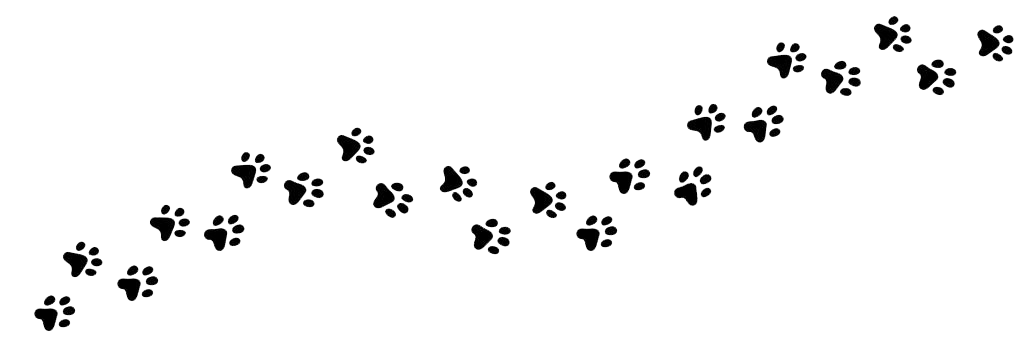 En dag på pensionatet