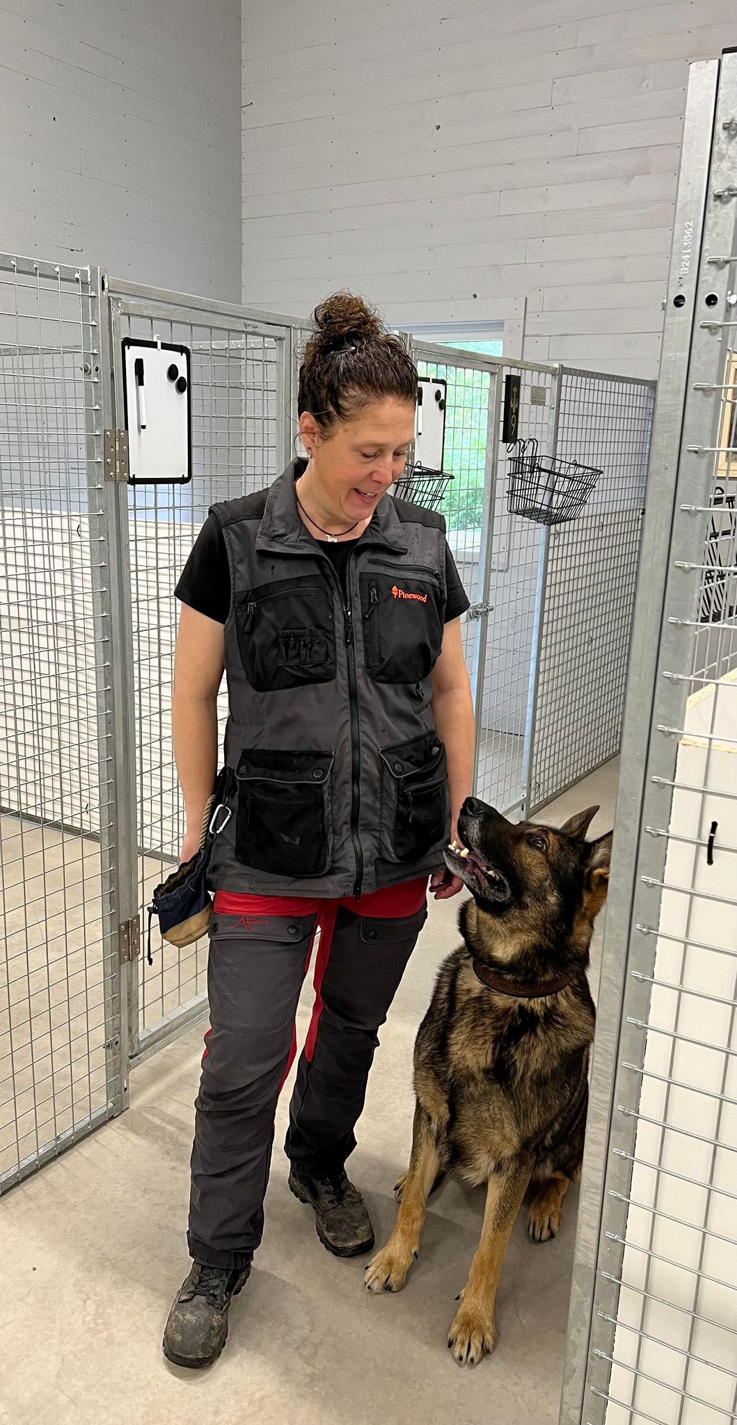 Välkommen till Grästorps Hundcenter – Ditt hundpensionat nära Lidköping