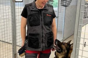 grästorpshundcenter_hundpensionat__skaraborg0001 Vår personal engagerar sig i lek och träning med hundarna.