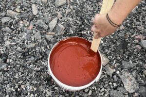 grästorpshundcenter_hundpensionat__skaraborg0002 grästorpshundcenter_hundpensionat__skaraborg0002