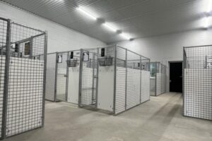 grästorpshundcenter_hundpensionat__skaraborg0028 Inne i våra rymliga och bekväma faciliteter för hunddagis.