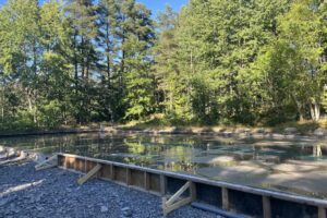 grästorpshundcenter_hundpensionat__skaraborg0047 grästorpshundcenter_hundpensionat__skaraborg0047