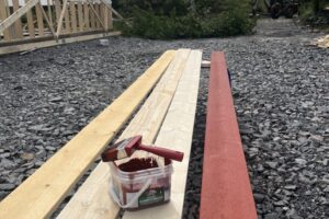 grästorpshundcenter_hundpensionat__skaraborg0049 grästorpshundcenter_hundpensionat__skaraborg0049