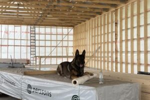 grästorpshundcenter_hundpensionat__skaraborg0065 grästorpshundcenter_hundpensionat__skaraborg0065