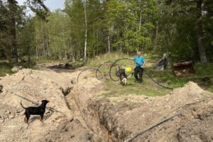 grästorpshundcenter_hundpensionat__skaraborg0084