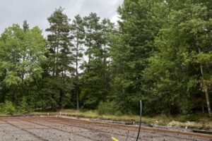 grästorpshundcenter_hundpensionat__skaraborg0086 grästorpshundcenter_hundpensionat__skaraborg0086