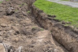 grästorpshundcenter_hundpensionat__skaraborg0089