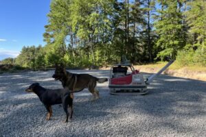 grästorpshundcenter_hundpensionat__skaraborg0091 grästorpshundcenter_hundpensionat__skaraborg0091