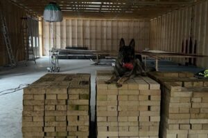 grästorpshundcenter_hundpensionat__skaraborg0093 grästorpshundcenter_hundpensionat__skaraborg0093