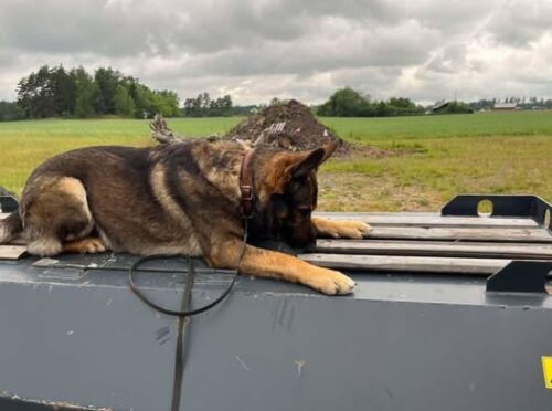 472340253_810344927891858_8000786218580268422_n