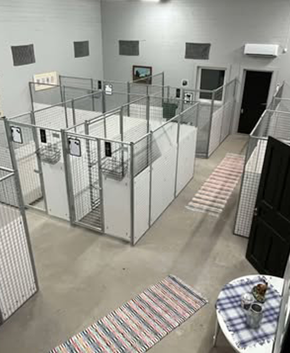 grastorps_hundcenter_boxar_ny